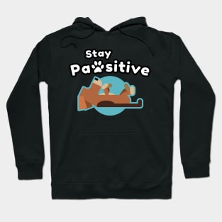 Motivational: Stay Pawsitive! Cute Funny Dog Hoodie
